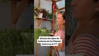 Cual eres tú?? 💚😆#humor  #humorplantil  #plantasdecasa #jardineria #jardin plantas #plantlove