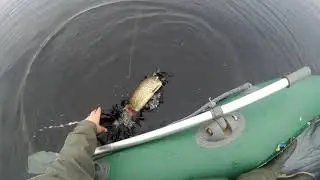 Щучка.