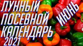 ЛУННЫЙ КАЛЕНДАРЬ ОГОРОДНИКА ИЮНЬ 2021!!!
