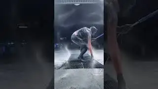 Puppy carwash