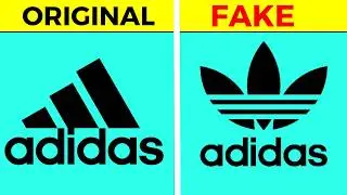 Why Adidas Use 2 Different Logos? | Fact Minded