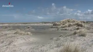 volop dynamiek aan de oostkant van Schiermonnikoog