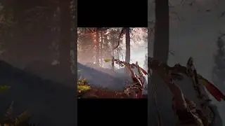 What’s up Danger Horizon Zero Dawn 