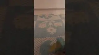 Меня наказали