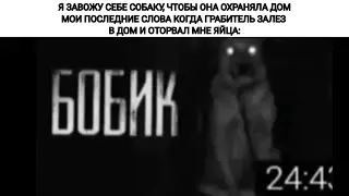 БОБИИК!!!