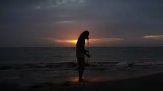 El Leon Pardo - Gaita, Gaita