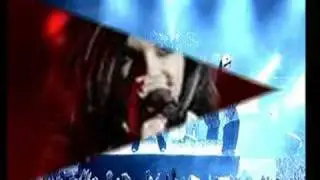 TRIBUTO A BILL KAULITZ