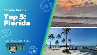 Top 5 Essential Cities in Florida
