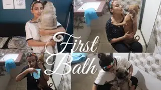 MISHTI’s FIRST BATH | ATOM KE NAKHRE 🤯 | ये क्या कर दिया? 🤦🏼‍♀️🤦🏼‍♀️🤦🏼‍♀️🤦🏼‍♀️