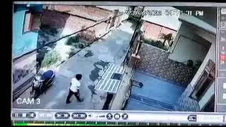 MONKEY ATTACK 😲🐒😞