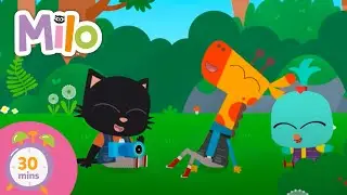 What does Milo love most about summer? 🌞🏖️ #cartoons #kidscartoons