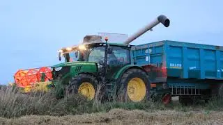 Moisson de blé avec l'ETA Guillou (4 moissonneuses)
