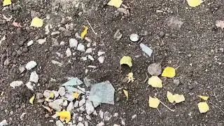Новые газоны все с битым стеклом