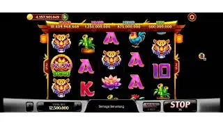 info room panda maseh || full macan maseh bet 12m || mantap maseh || joos maseh