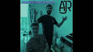 AJR - Flight Of The Tiger Lily Beat Flip