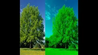 Landscape Photo Editing - Camera Raw Photoshop cc Tutorial - Post Processing in 5 Minutes