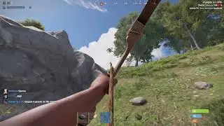 ГОРОХ РАЗЛЕТЕЛСЯ | RUST