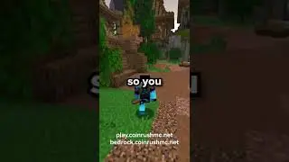 New Bug lifesteal mc server