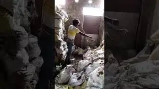 कबाड़ की दुकान में घुसा कोबरा सांप निकलना हुआ बहुत मुश्किल #snake