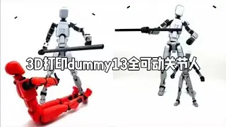 T13 Action Figure,Dummy 13 Movable Joint Doll Toy, 3D Printed, can Freely Change Movements