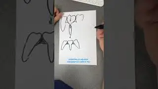 Никто не угадал правильный ответ во вчерашнем розыгрыше, поэтому  я объясню, а вы послушайте! ✨