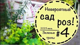 #4 ☘️Невероятный и завораживающий частный сад в Германии. ☘️Розы в романтическом саду. ☘️