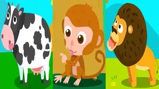 Amazing Animals - CARING FOR ANIMALS (Watchkreen Style)