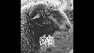 01. Sår - Food For Worms (Part II)