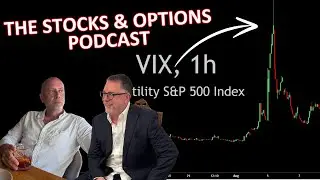 Hedging Strategies, Bear Market Trades And Managing Risk
