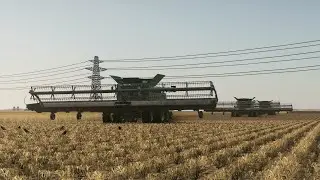 John Deere X9 Combine by SIID - Australian Wheat Harvest 2020 - Farming Simulator 19