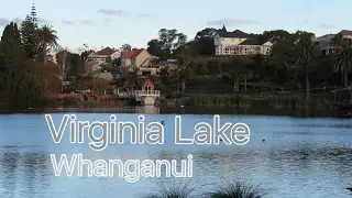 Virginia Lake - Whanganui