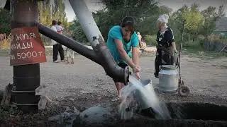 Yemen ENG