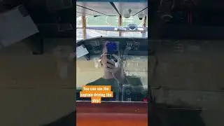 The wind destroyed the audio for this video 🤦🏼‍♂️😭 #shorts #cruise