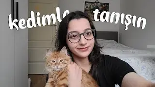 Kedi Sahiplendim! 🥹 | Tarçın'la Tanışın, Bütün Süreç ve Hikayemiz