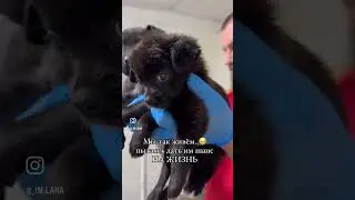Мы так живем… 