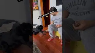 Dog is doing handshake 🤝