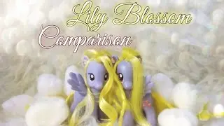 Сравнение Лили Блоссом // Lily Blossom Comparison // ФОНД ЗАЩИТЫ БЮДЖЕТНЫХ ПОНИ