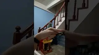 Fly slow motion