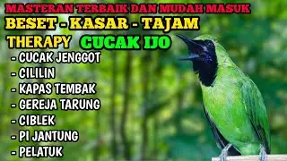CUCAK IJO, MASTERAN CUCAK IJO FULL TEMBAKAN KASAR, MASTERAN CUCAK IJO, part 2.
