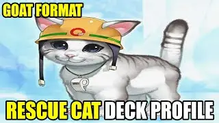 CUTE YET TERRIFYING: Rescue Cat Deck Profile | Goat Format | YUGIOH!