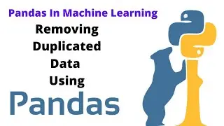 Removing Duplicated Data Using Pandas | Data Cleaning |  Pandas In Machine Learning | Pycharm