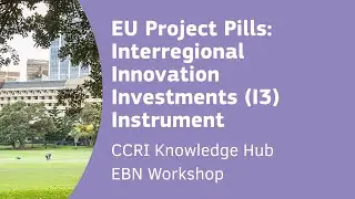 EU Project Pills: Interregional Innovation Investments (I3) Instrument
