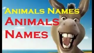 English for children | Animal Match Up | Kids learn Animals Names Animals Matching Games