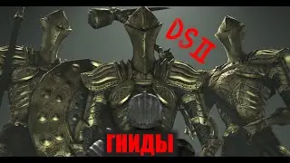 DARK SOULS II Стражи руин (без брони, две ядовитые катаны)