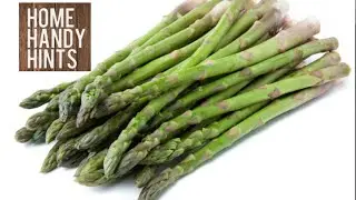 How to plant Asparagus