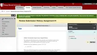 Submit a Blackboard Assignment!
