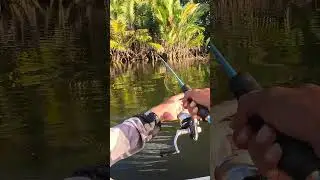 Misi Menyelamatkan Ikan Kelaparan😆#mancing #fishingvideo