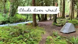 Backpacking the Elwha River Trail - OLYMPIC NATIONAL PARK