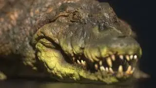 00 Trailer - Minissérie Mugger Croc