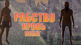 ТРОЕ НА ИСТОКЕ ИСТОРИИ. ИЗ ГРЯЗИ #1. Kenshi √ Project Genesis